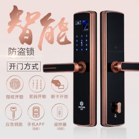 ZUCON F690祖程指纹锁家用防盗门智能锁指纹密码刷卡锁手机App远程选配